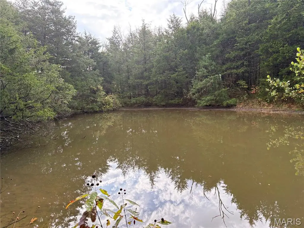 TBD Barton School Road, Brumley, MO 65017 - #1