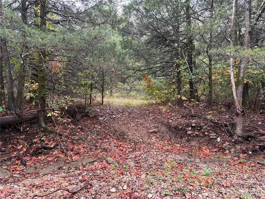 TBD Barton School Road, Brumley, MO 65017 - #3