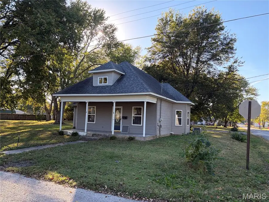 802 S Grace Street, Marissa, IL 62257 - #2