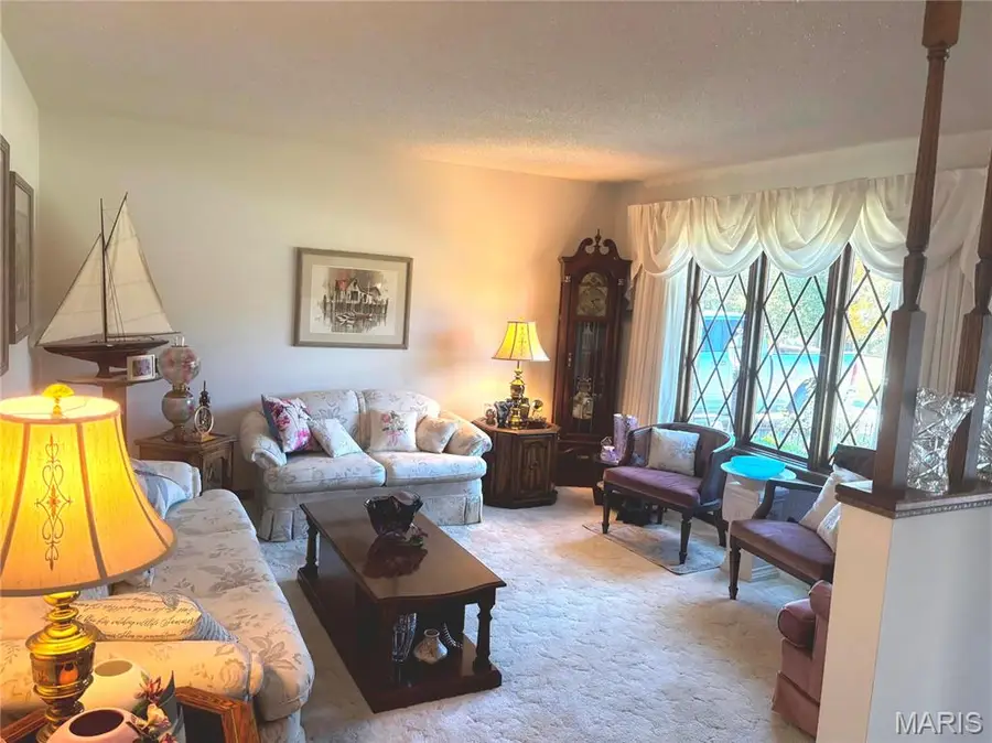 6636 Wood Drive, Monroe City, MO 63456 - #3