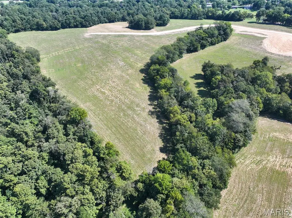 Tract #4 off Ames Way, Jackson, MO 63755 - #1