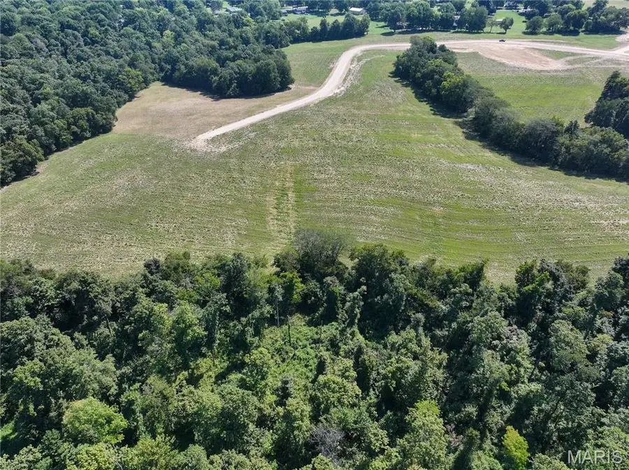 Tract #4 off Ames Way, Jackson, MO 63755 - #3