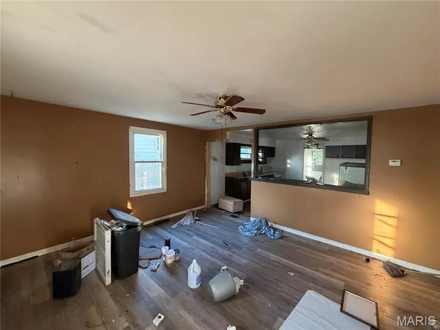 914 S Bess Avenue, Marissa, IL 62257 - #2