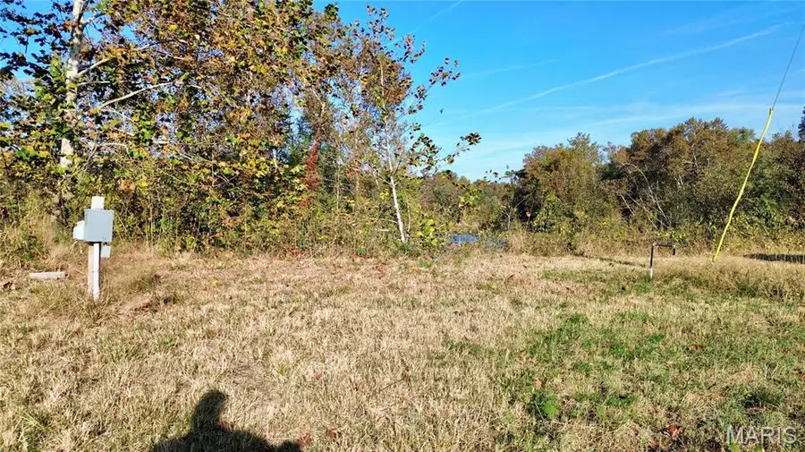 000 County Road 459a, Piedmont, MO 63957 - #2