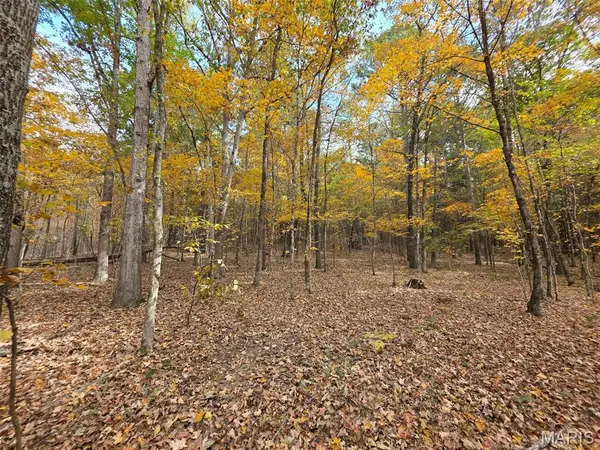 Tract 5 Madison 411, Fredericktown, MO 63645