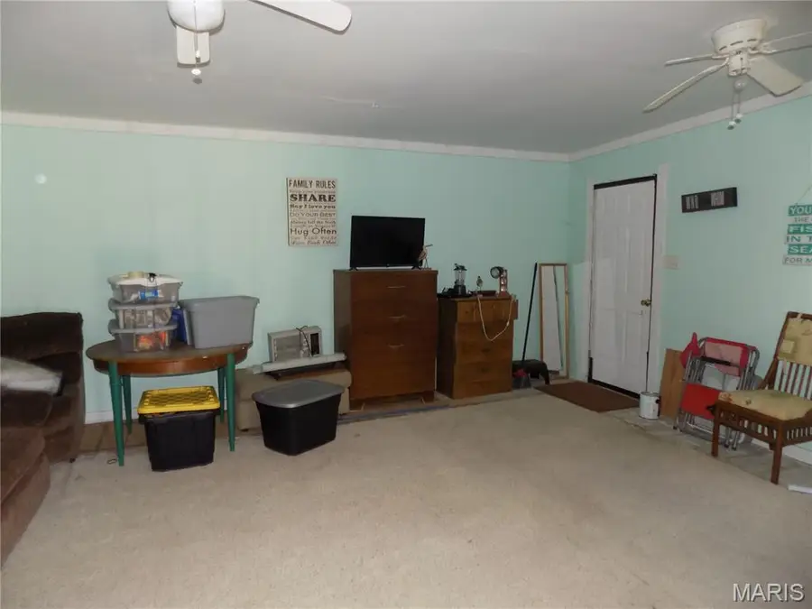 221 E Lakeview Drive, Ironton, MO 63650 - #3