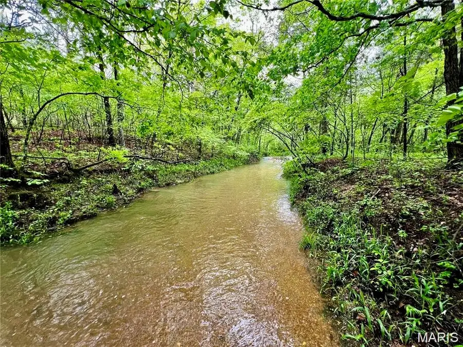 245 Delbridge Road, Potosi, MO 63664 - #2