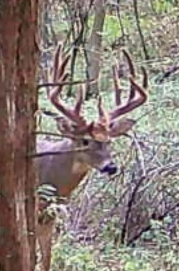 xxx Cedar Hill Trail, La Plata, MO 63549