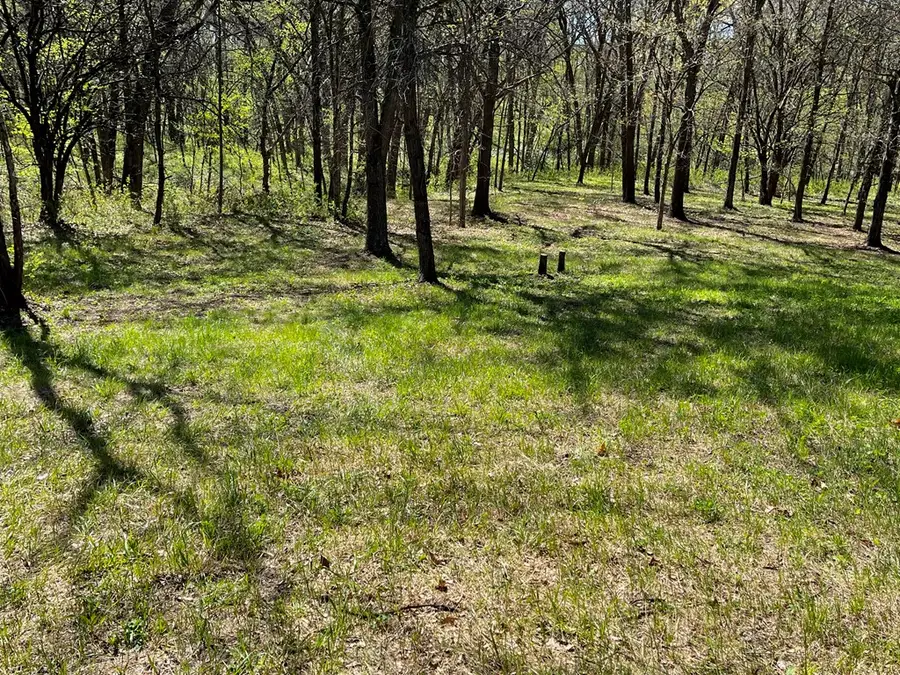 20307 Chickadee Lane, Unionville, MO 63565 - Image #2