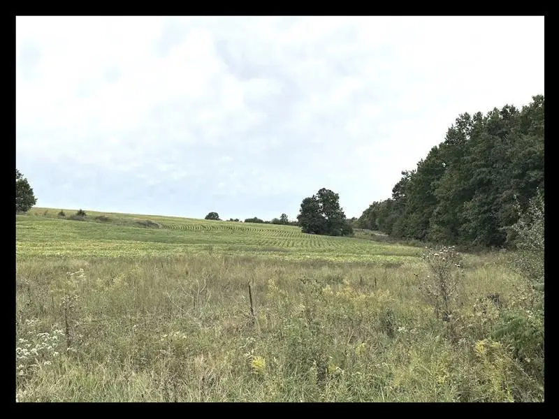 000 S Side St Hwy T, Excello, MO 65247 - Image #1