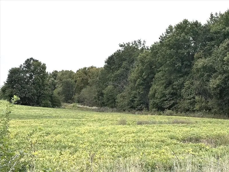 000 S Side St Hwy T, Excello, MO 65247 - Image #2