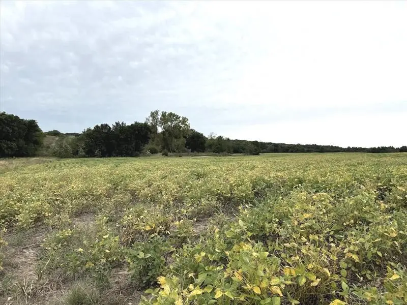 000 S Side St Hwy T, Excello, MO 65247 - Image #3