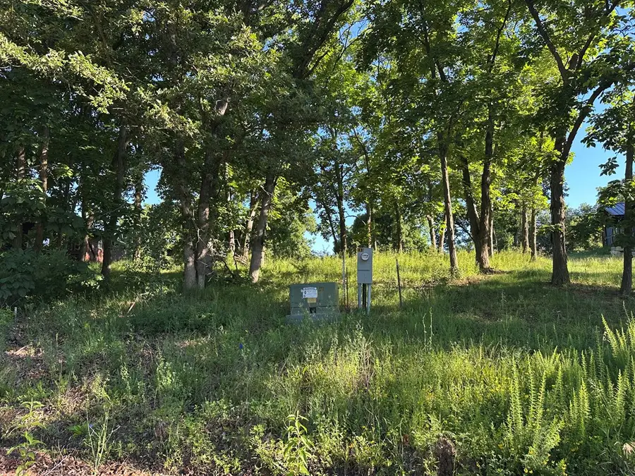 32046 Falcon Drive, Unionville, MO 63565 - #3