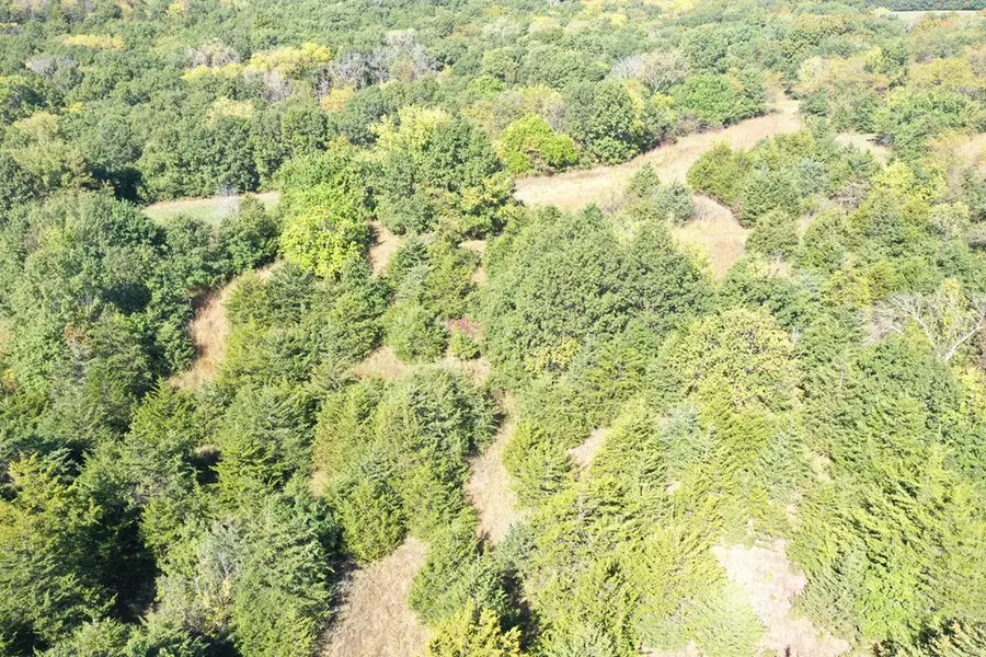 11471 Highway Y, Milan, MO 63556 - Image #3