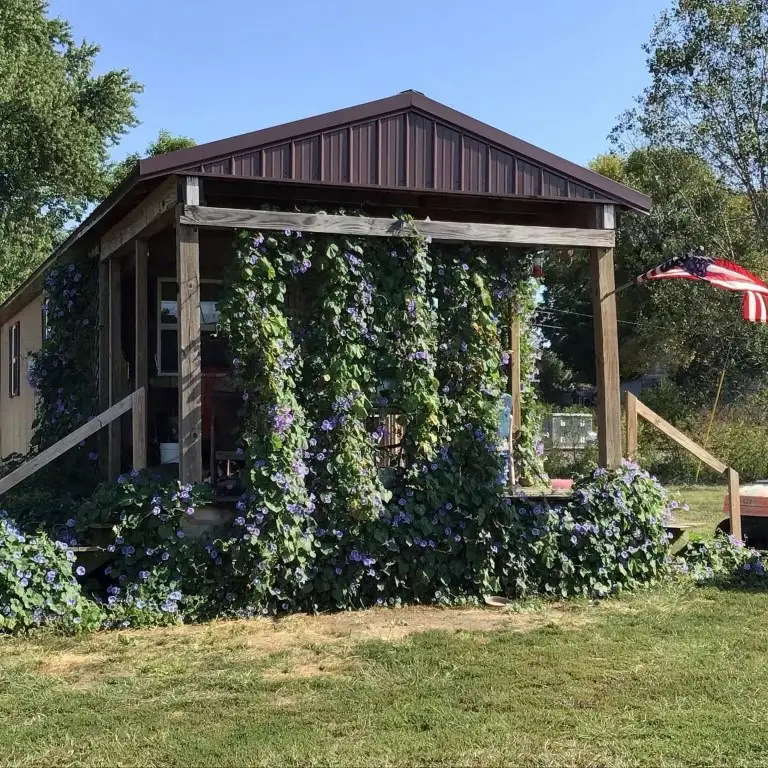 312 W Chariton St, Callao, MO 63534 - Image #2