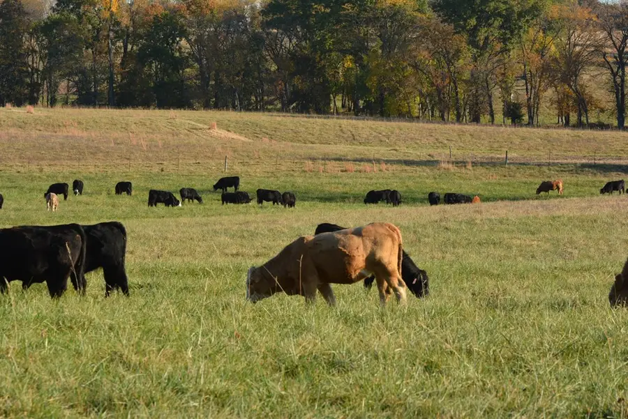 12751 Bravo Road, Linneus, MO 64653 - Image #3