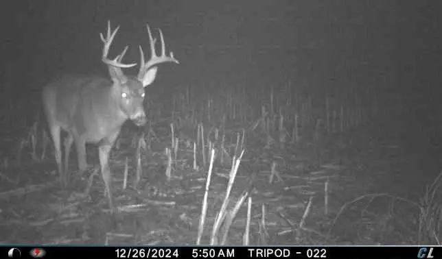 34104 130th Street, Unionville, MO 63565 - Image #2