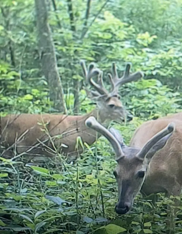 20731 Thousand Hills Tr., Kirksville, MO 63501 - Image #3