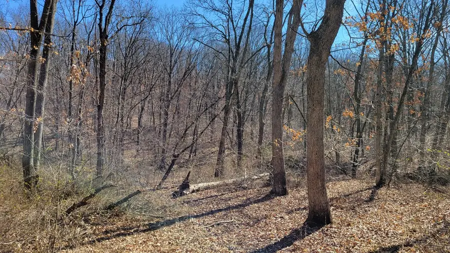 11252 Fayette Road, Green Castle, MO 63544 - Image #3