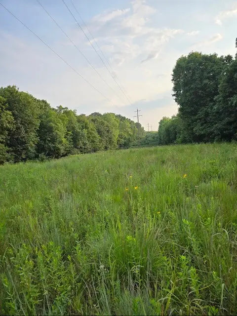 1 Fox Road, Purdin, MO 64674 - Image #3