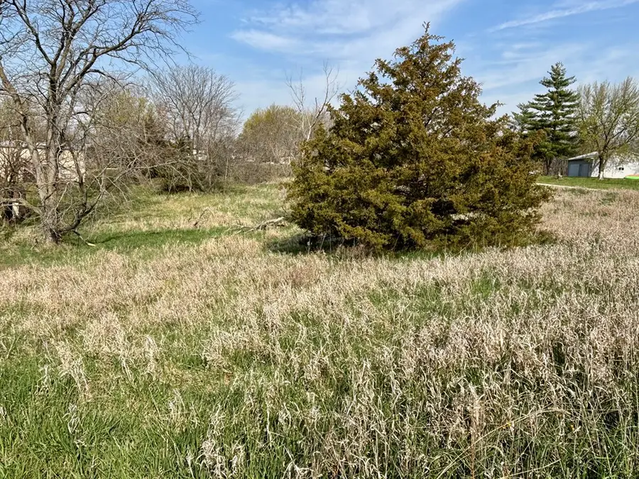 20204 Prairie Willow Court, Unionville, MO 63565 - Image #3