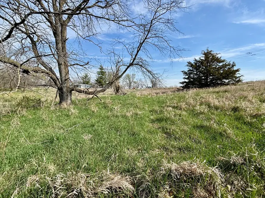 20204 Prairie Willow Court, Unionville, MO 63565 - Image #2