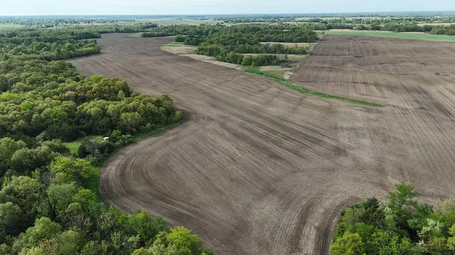 xxx Bean Blossum Loop, Hurdland, MO 63547 - Image #3