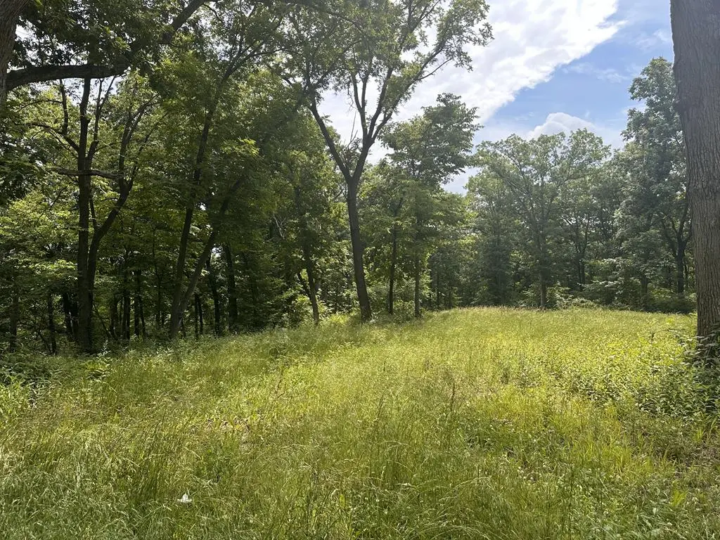 0000 Highway Z, Tina, MO 64682 - Image #1