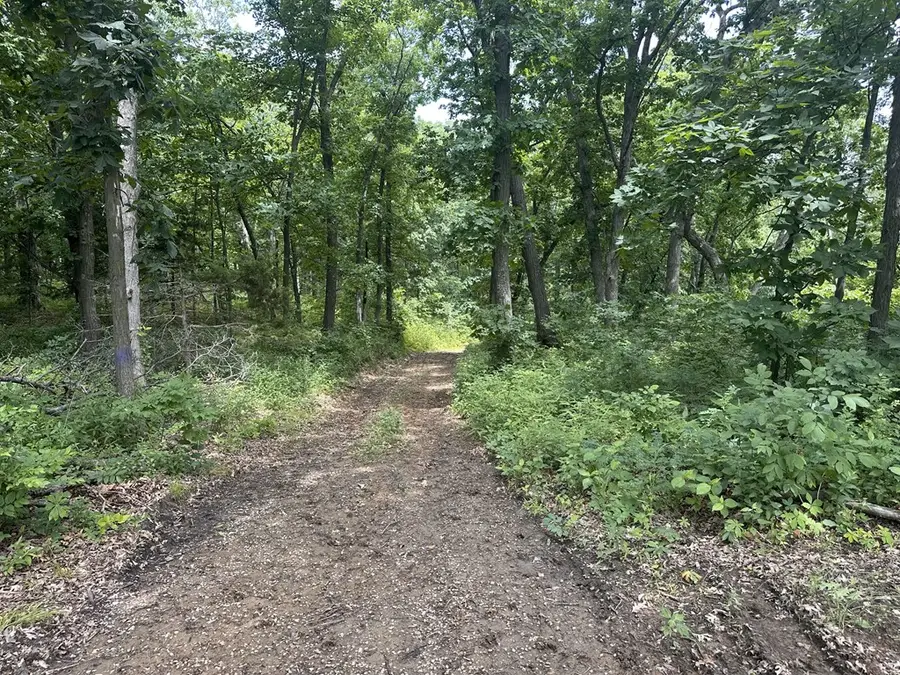 0000 Highway Z, Tina, MO 64682 - Image #2