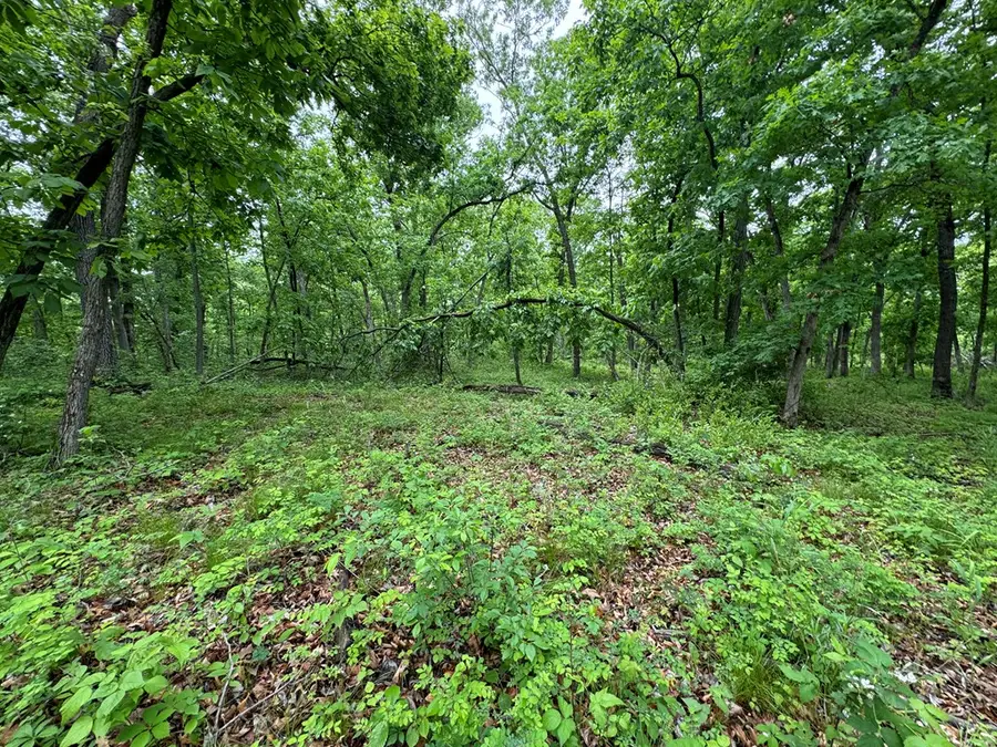 xxx State Highway A & Cardinal Way, Greentop, MO 63546 - Image #2