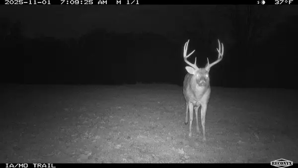 000 614th Street, Unionville, MO 63565