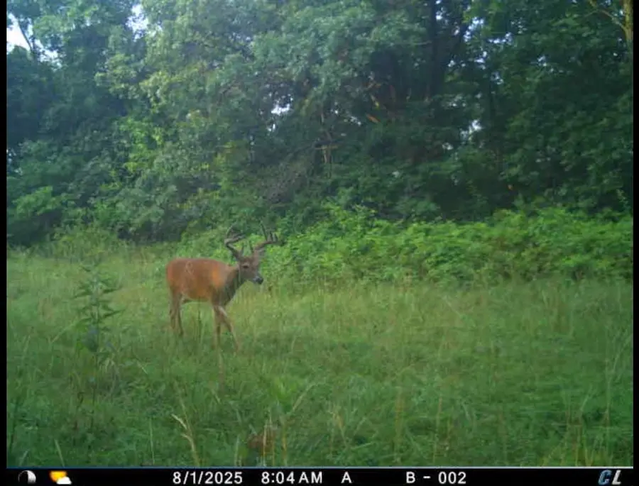 000 614th Street, Unionville, MO 63565 - Image #2