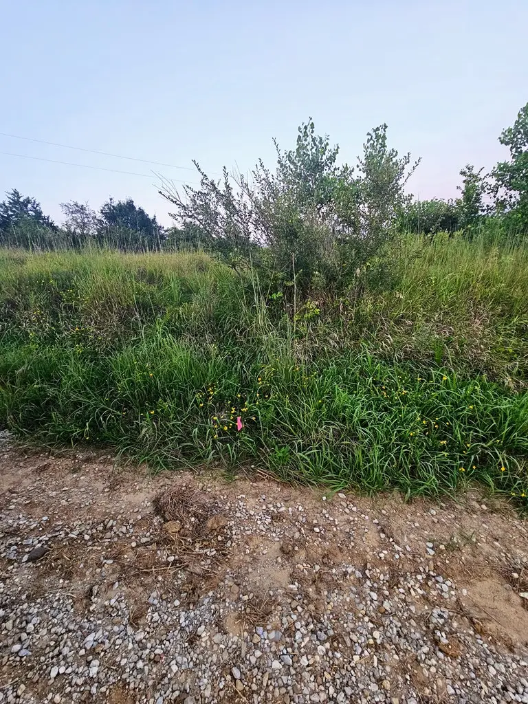 0 Rush Trail, Unionville, MO 63565 - Image #3