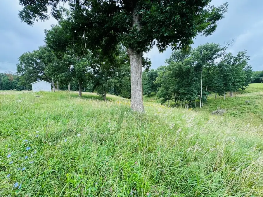 51075 Trout Rd., Milan, MO 63556 - Image #3