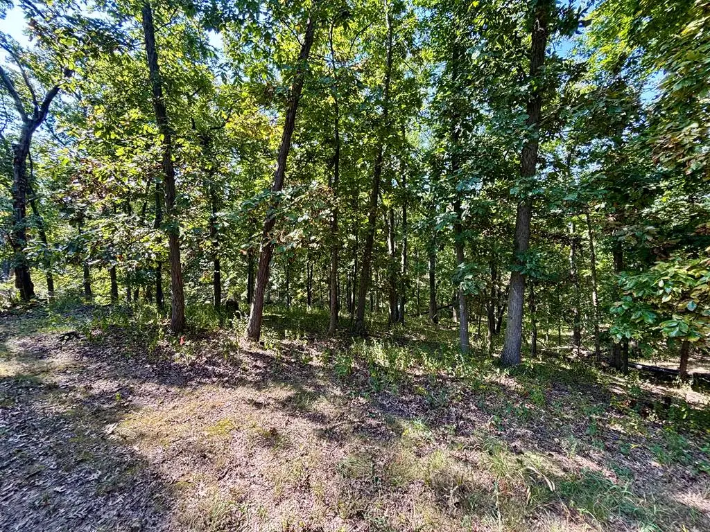 17219 Hickory Court, Unionville, MO 63565 - Image #1