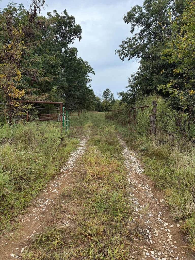 00000 Highway 5, Milan, MO 63556 - Image #3