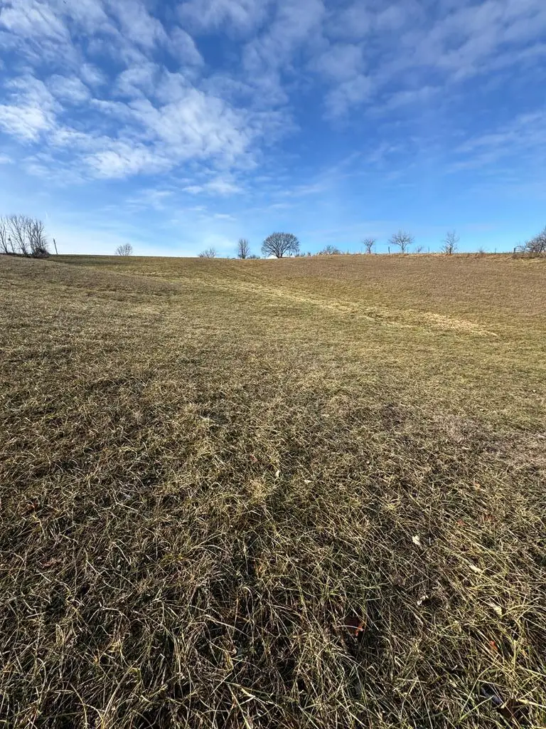 20854 Highway Oo, Milan, MO 63556 - Image #3