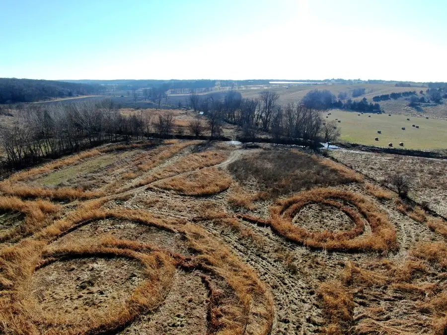 XXX Peacock Road, Polk, MO 63546 - Image #3