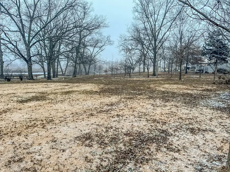 TBD Hog Ridge Avenue, Triplett, MO 65286 - Image #3