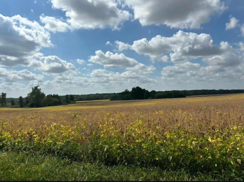 0000 County Road, Hale, MO 64643 - Image #1