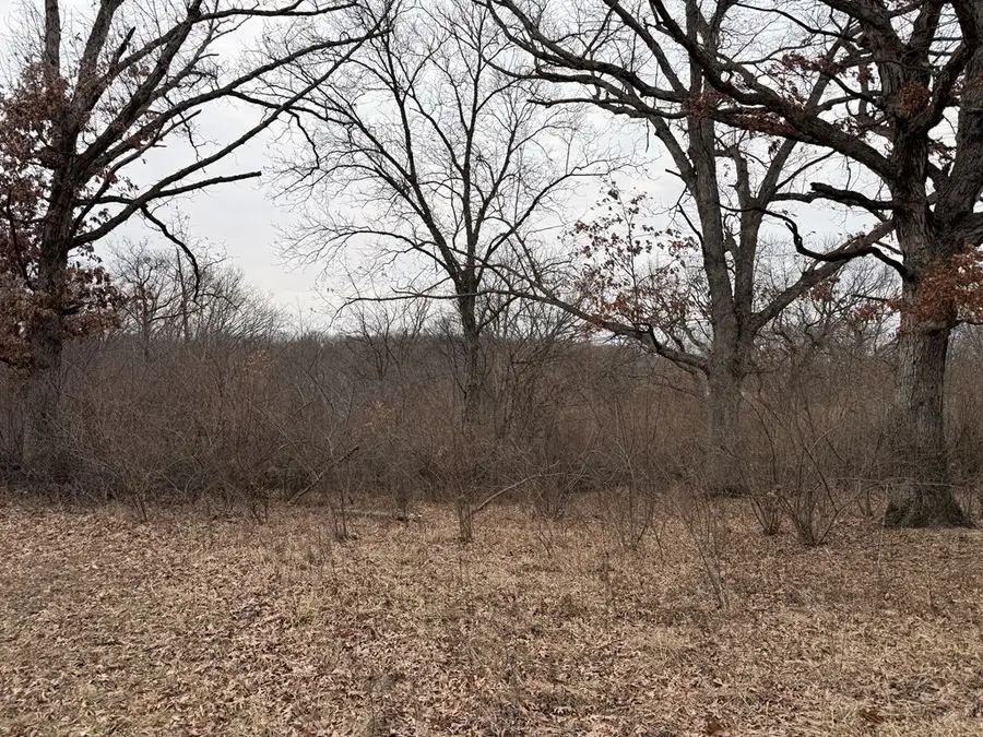 XXX Crest Trail, Kirksville, MO 63501 - #3