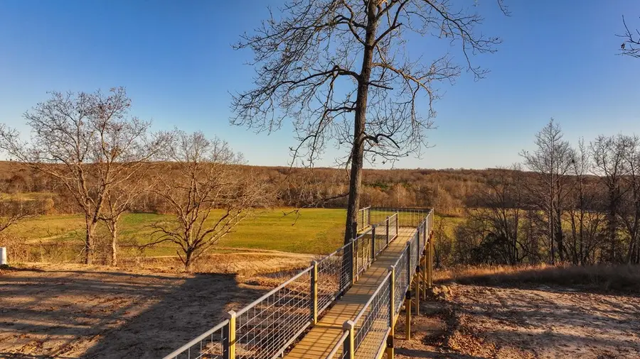 11516 Highway Z, Falcon, MO 65470 - #2