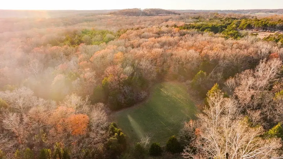 11516 Highway Z, Falcon, MO 65470 - #3