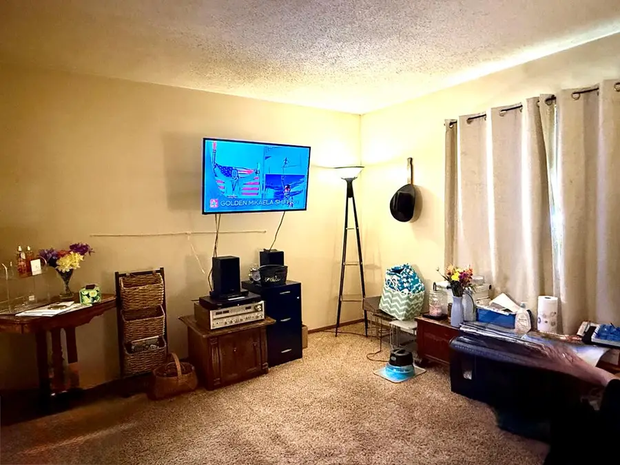 2901 Woodwinds Court, Kirksville, MO 63501 - #3