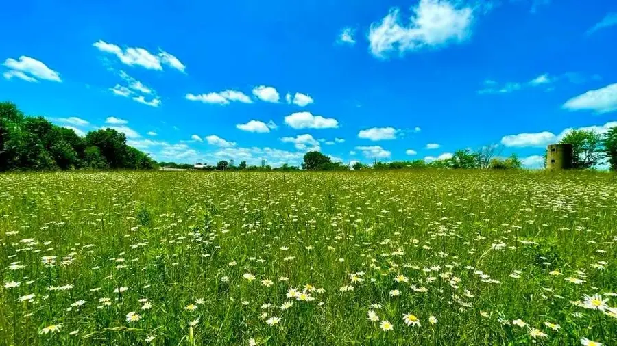 1903 N New Street, Kirksville, MO 63501 - #2