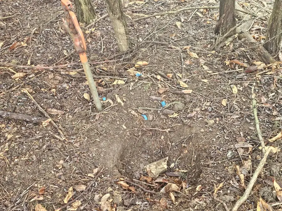 20210 Prairie Willow Court, Unionville, MO 63565 - #3