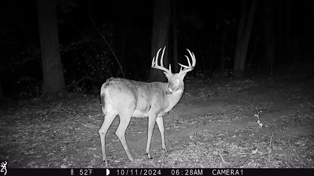 0 Osage Trl, Unionville, MO 63565 - #1