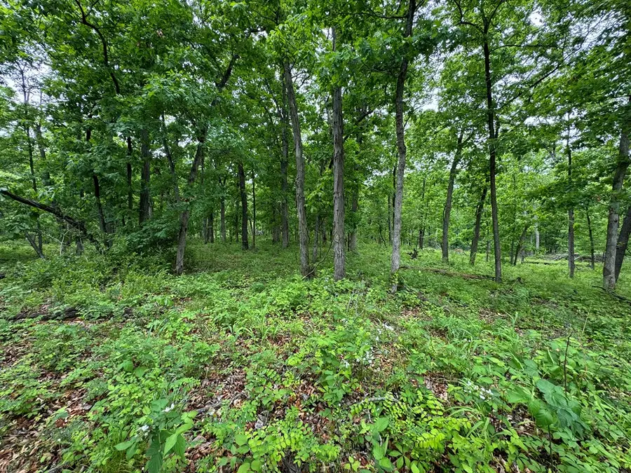 xxx State Highway A & Cardinal Way, Greentop, MO 63546 - #3