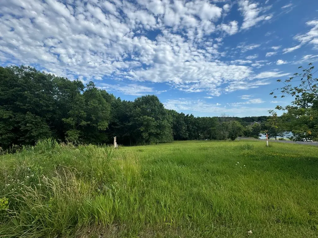 10127 S Wildflower Drive, Unionville, MO 63565 - #1