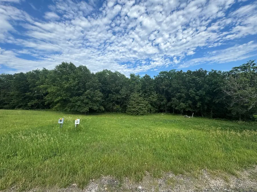 10127 S Wildflower Drive, Unionville, MO 63565 - #3